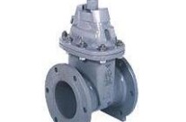 Resilient Seated Gate Valves Model SE-1/SF-1